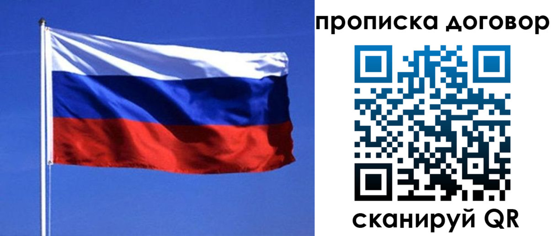 прописка поиск в Фокино